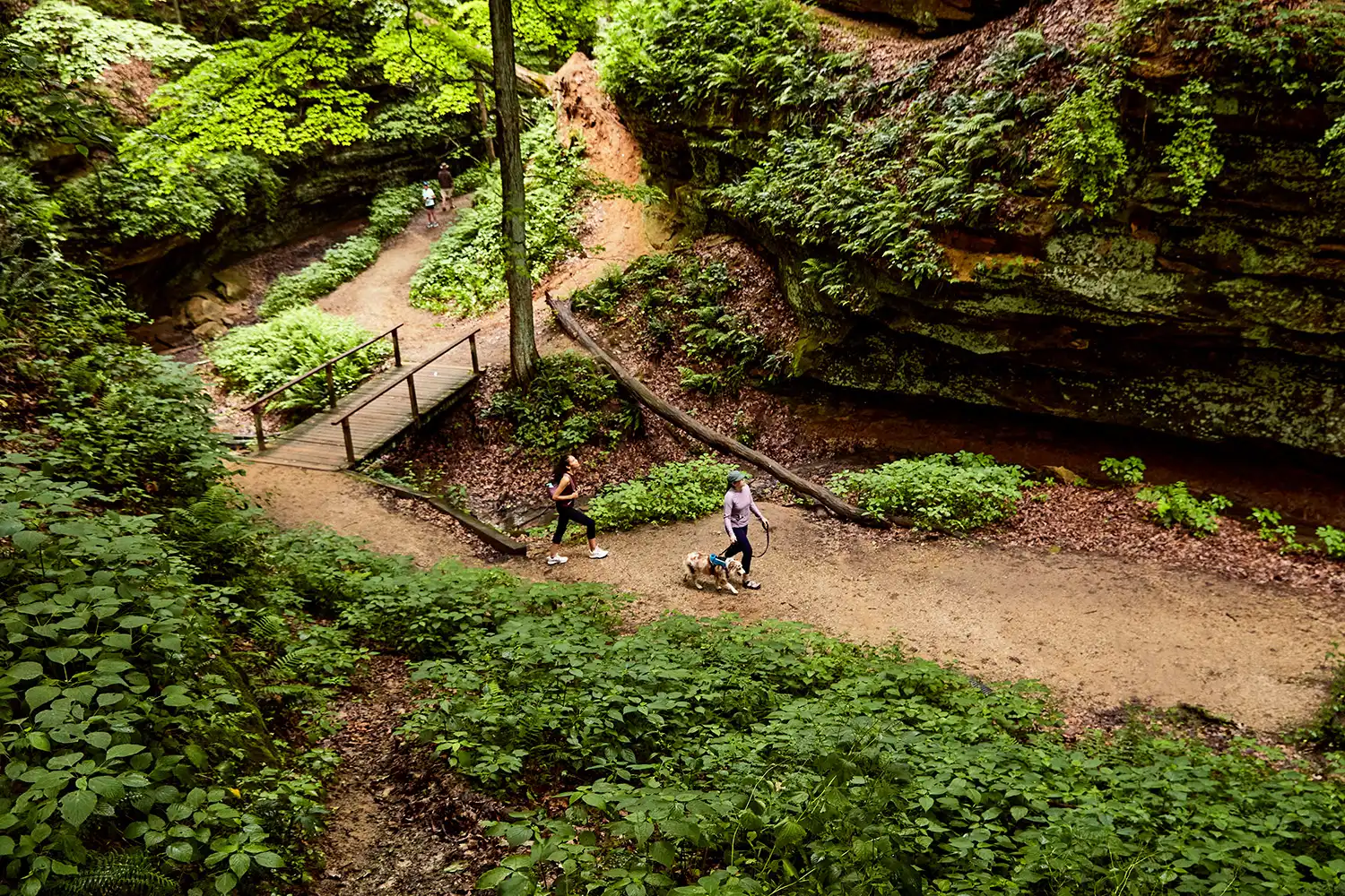 two people hiking on a trail at wildcat den state park