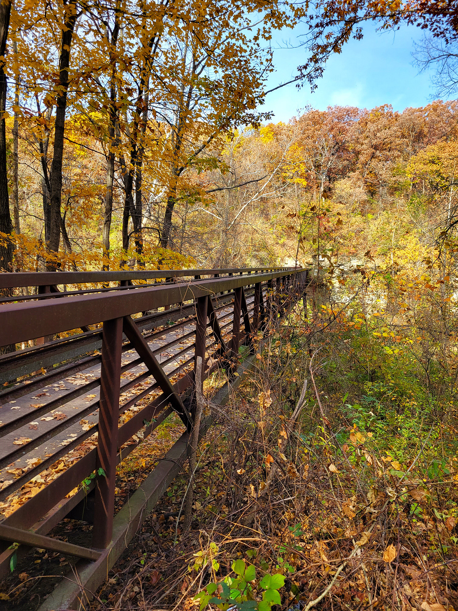 Bridge in wooded area with fall colors at Starrs Cave in Burlington Iowa