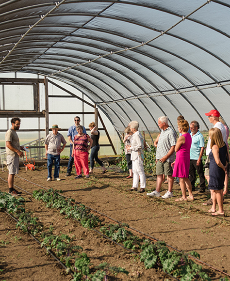 A group of people standing in the Wallace Center looking at a crop of plants.