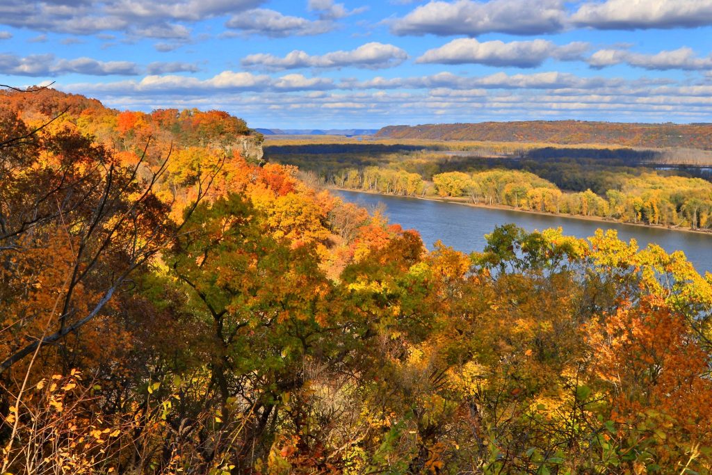 fall-colored leaves overlooking river