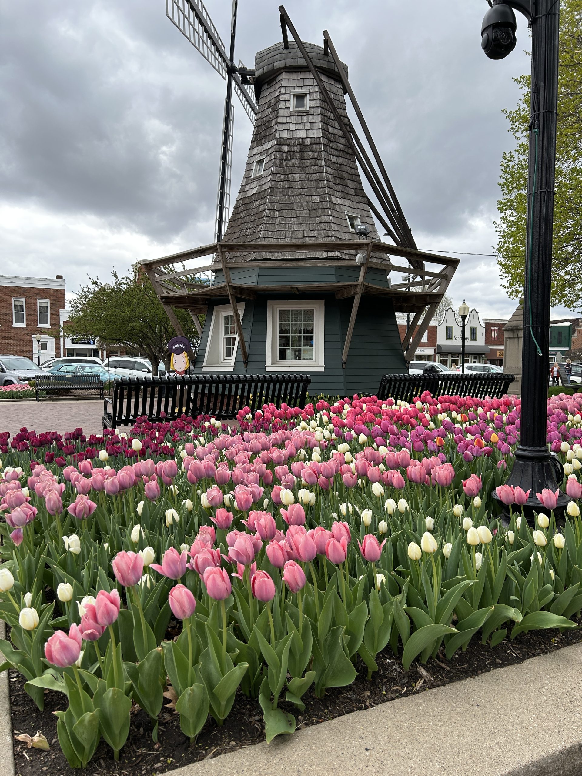 windmill